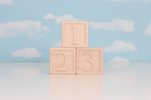 Numbers 0-9, 10 Block Set